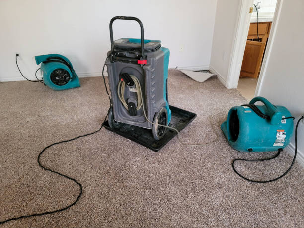 Best Ceiling water damage repair  in Apache, OK