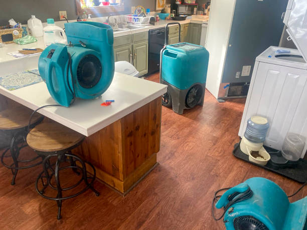 Best Water damage restoration near me  in Apache, OK
