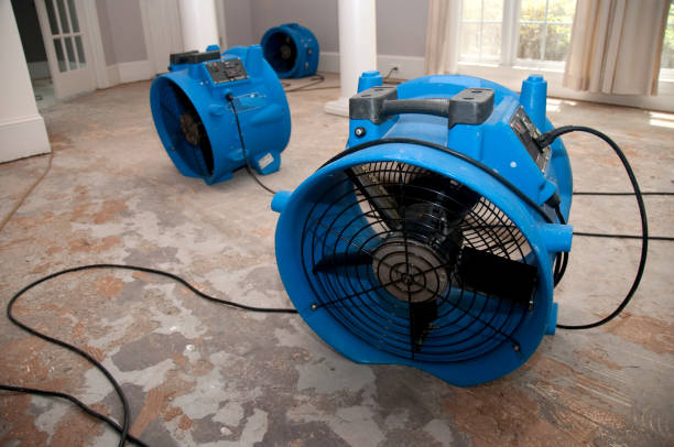 Best Professional water damage repair  in Apache, OK