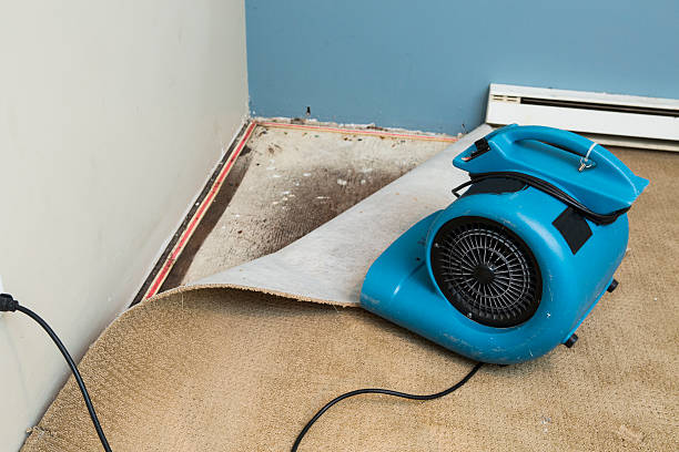 Best Water damage cleanup near me  in Apache, OK